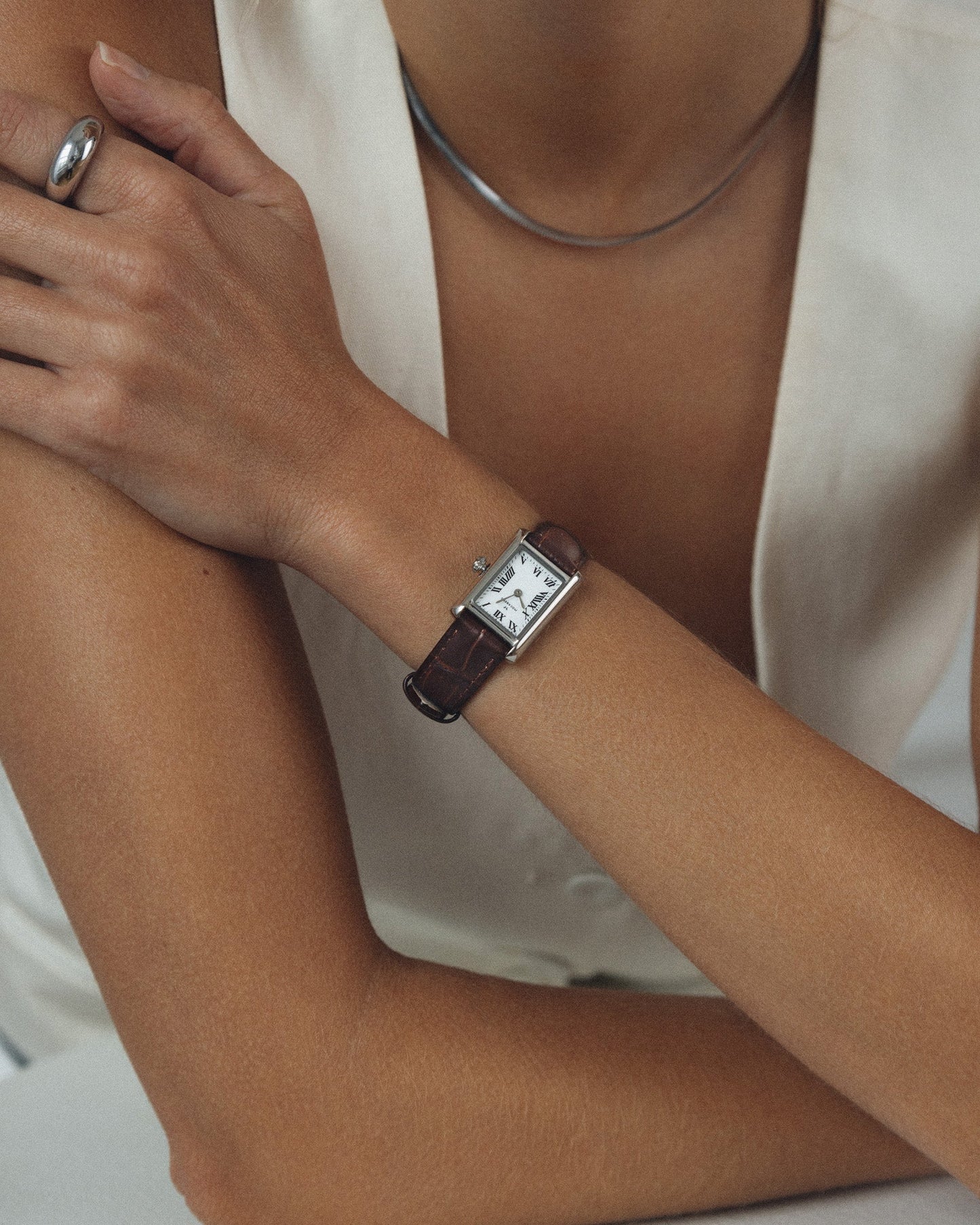 Timeless Brown Leather Silver Watch